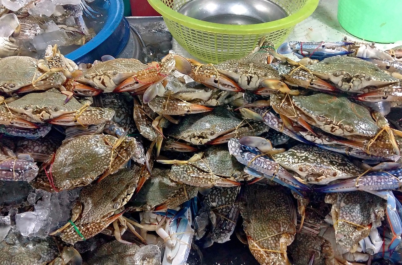 美味飞行，手机观看的空中美食之旅